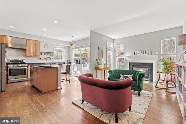 living room with light wood-type flooring and sink