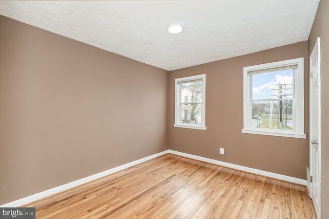 spare room with light wood-type flooring and a wealth of natural light