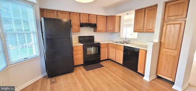 kitchen featuring light hardwood / wood-style floors, black appliances, a wealth of natural light, and sink