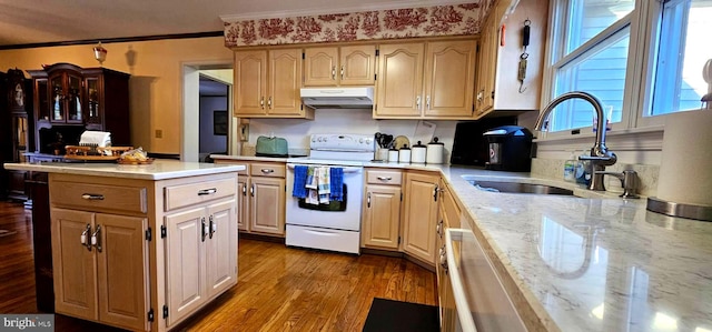 kitchen featuring white electric range oven, ornamental molding, dark wood-type flooring, under cabinet range hood, and a sink