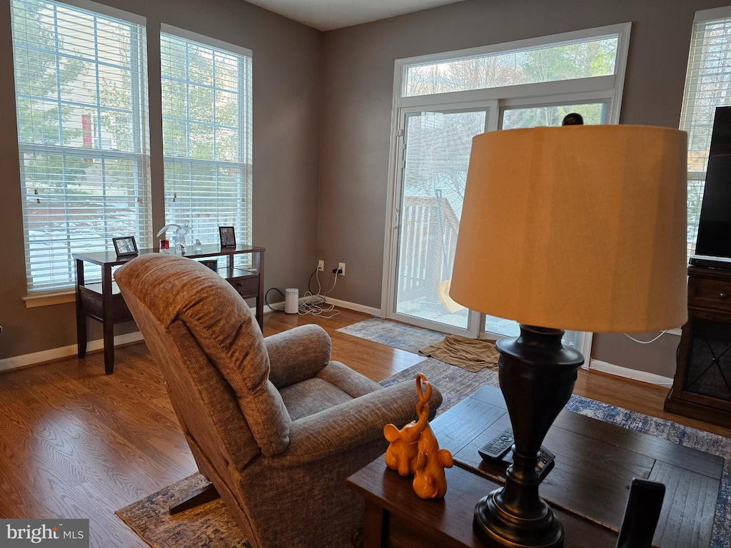 living room featuring hardwood / wood-style flooring