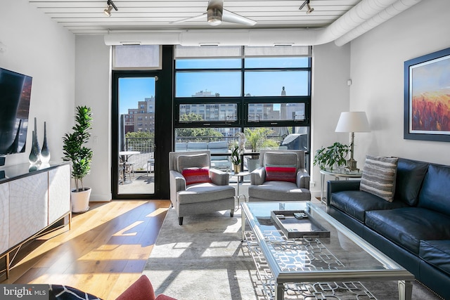 living room with track lighting, light hardwood / wood-style floors, a wealth of natural light, and expansive windows