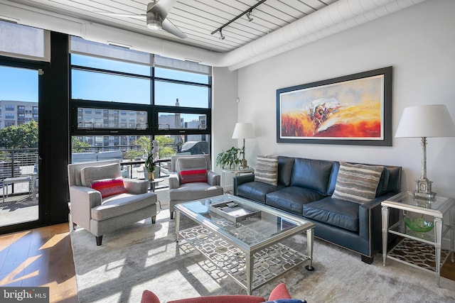 living room featuring carpet flooring, rail lighting, wood ceiling, and expansive windows