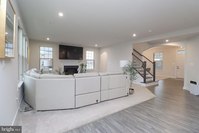 living room featuring hardwood / wood-style flooring