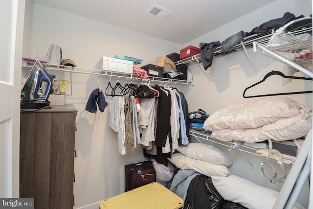 view of spacious closet