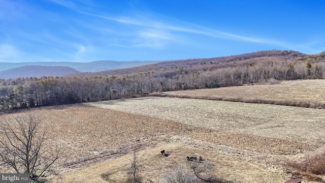 property view of mountains featuring a view of trees