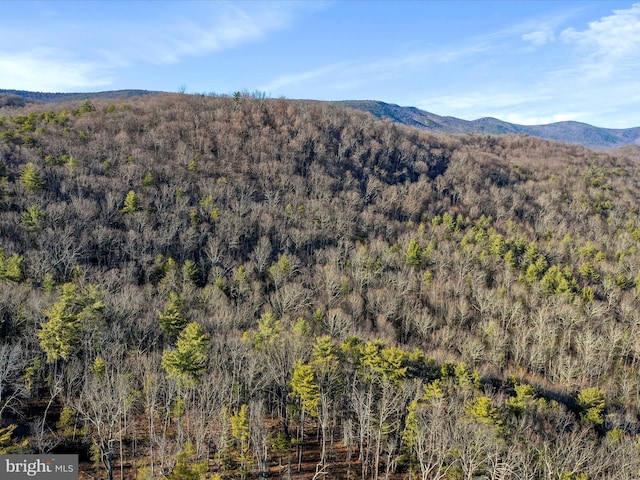 property view of mountains featuring a wooded view