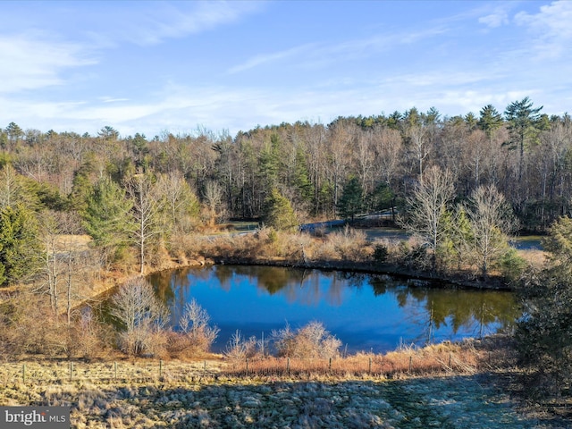 water view featuring a view of trees