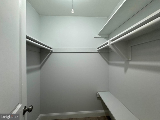 spacious closet featuring hardwood / wood-style floors