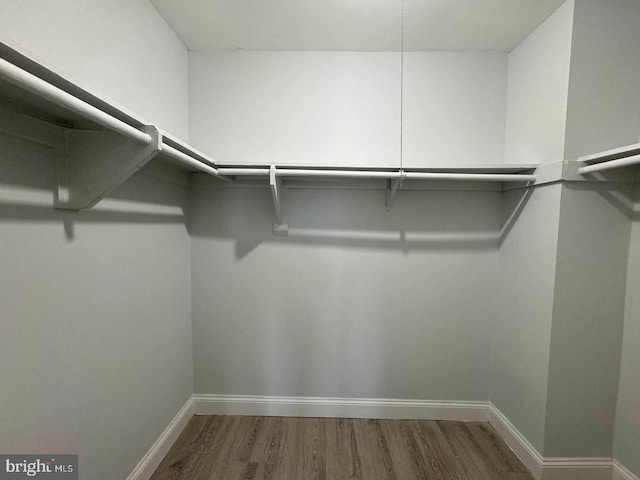 walk in closet featuring hardwood / wood-style floors