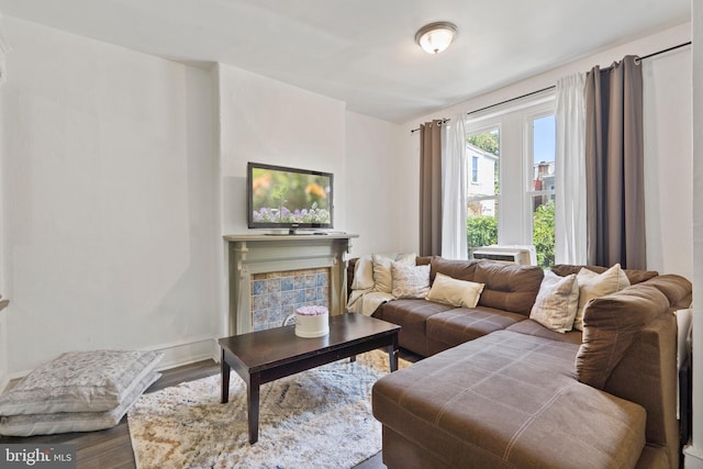 living room with hardwood / wood-style flooring