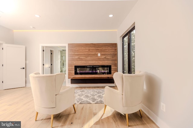 living room featuring hardwood / wood-style floors and a large fireplace