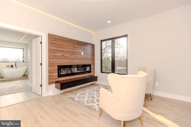 living room featuring hardwood / wood-style floors and a fireplace