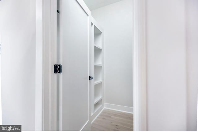 spacious closet featuring light wood-type flooring