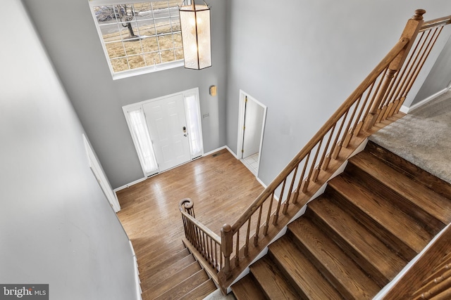 entryway featuring wood-type flooring and a high ceiling