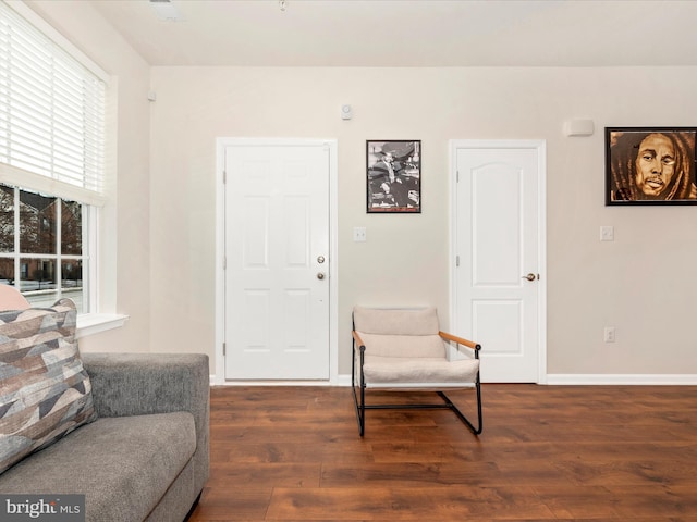 living area featuring dark hardwood / wood-style floors