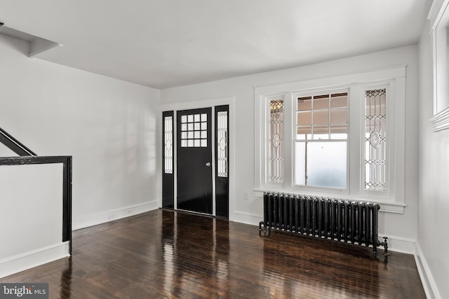 foyer with a healthy amount of sunlight, dark hardwood / wood-style flooring, and radiator heating unit