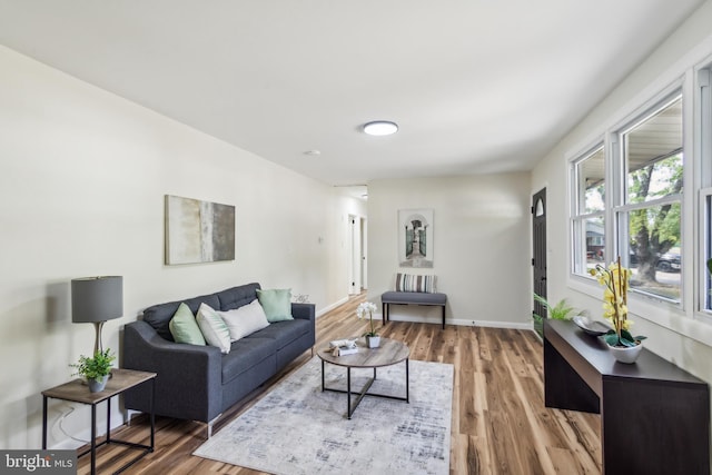 living room with hardwood / wood-style flooring