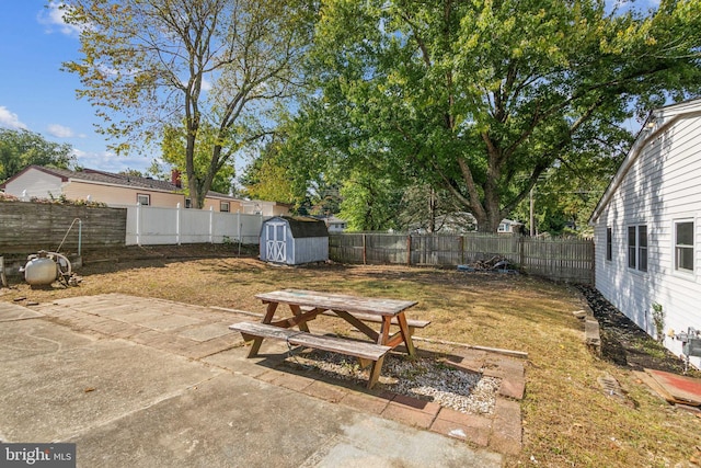 view of yard with a patio area and a storage unit