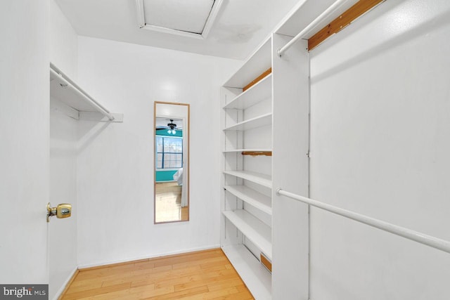 spacious closet with wood-type flooring