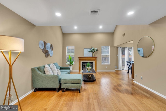 living room featuring wood-type flooring and a wealth of natural light