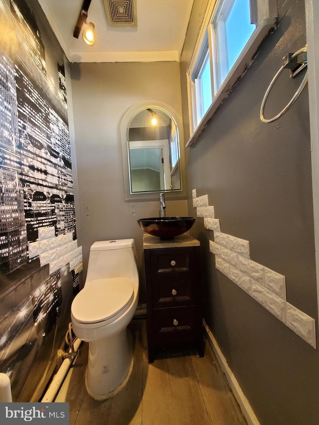 bathroom featuring toilet and vanity