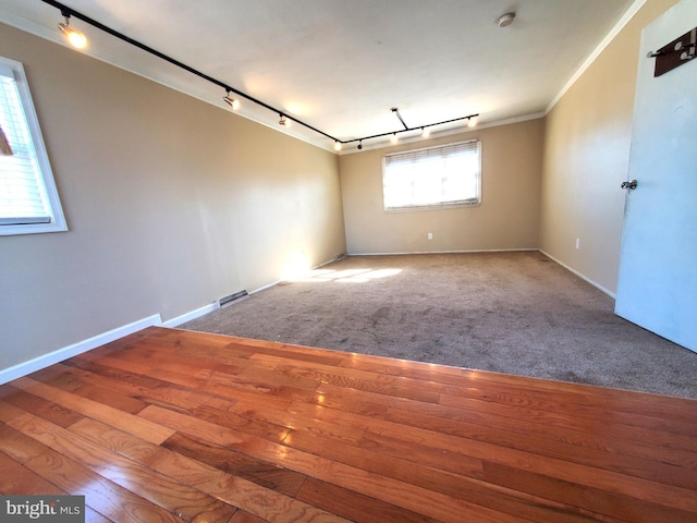 unfurnished room featuring rail lighting, carpet floors, and ornamental molding