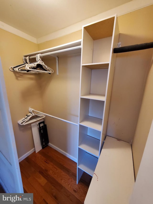 walk in closet with dark hardwood / wood-style floors