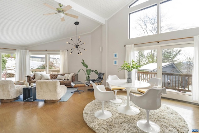 dining space with ceiling fan with notable chandelier, vaulted ceiling with beams, hardwood / wood-style floors, and a healthy amount of sunlight