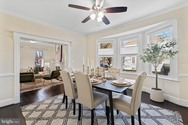 dining space with dark wood-type flooring, ceiling fan, and crown molding