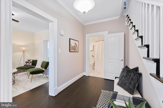 entrance foyer featuring ornamental molding, dark wood-type flooring, and ceiling fan