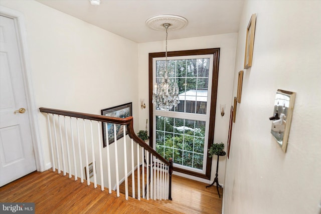 staircase featuring wood finished floors