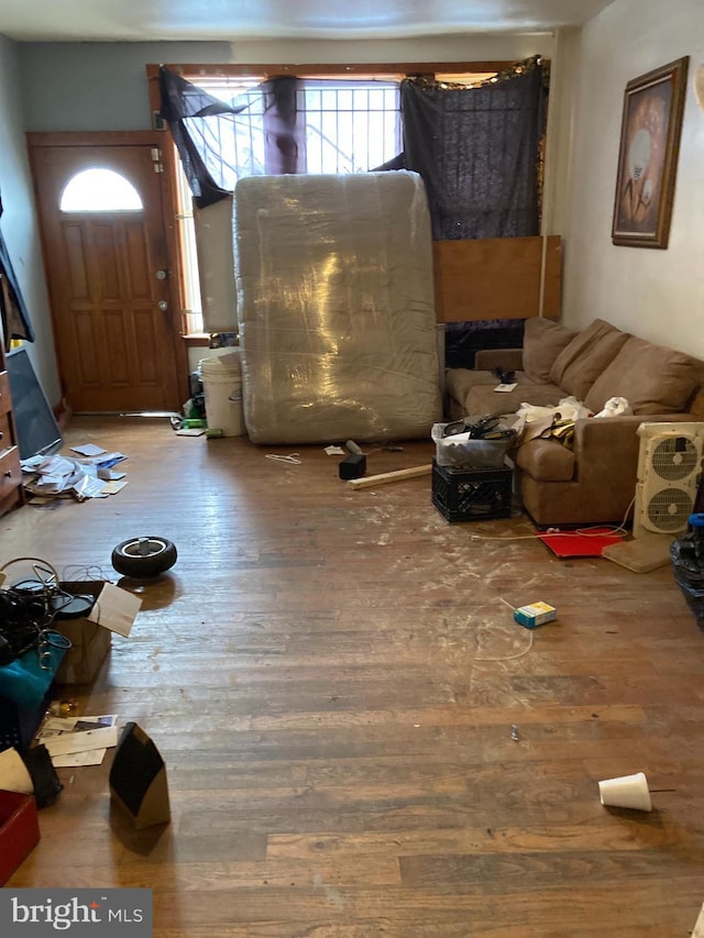 living room with wood-type flooring