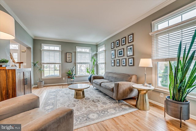 living room with crown molding, plenty of natural light, and light hardwood / wood-style flooring