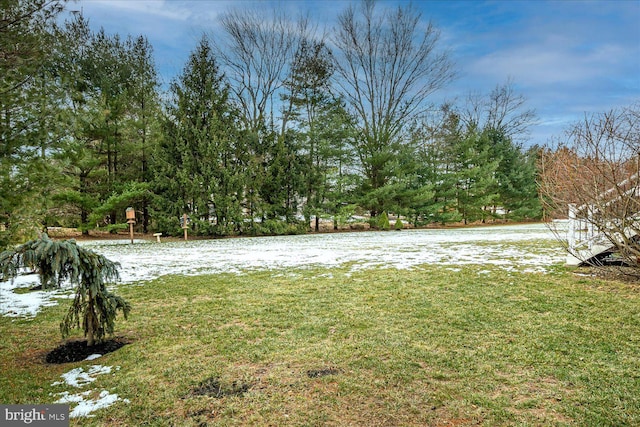 view of yard layered in snow