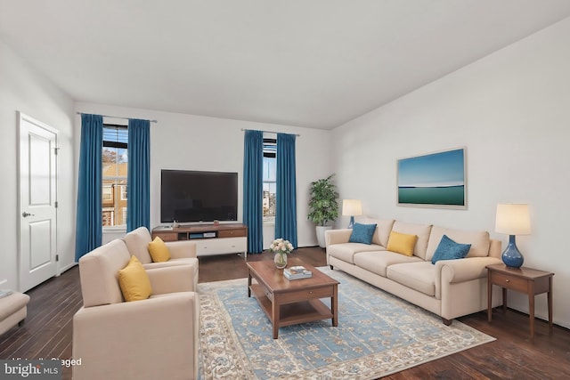 living room featuring dark wood-type flooring