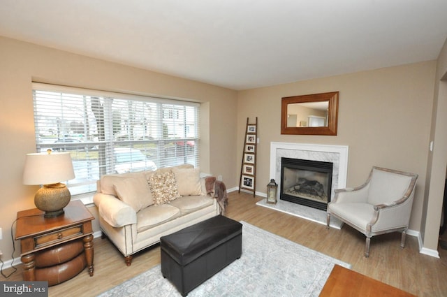 living room featuring a fireplace and light hardwood / wood-style floors