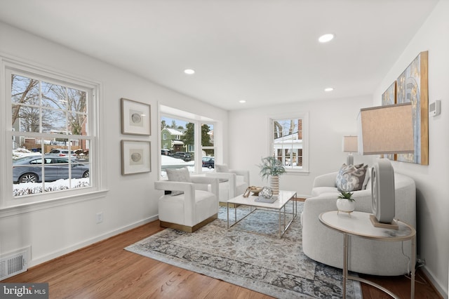 living room with hardwood / wood-style flooring