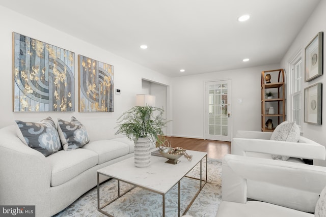 living room featuring wood-type flooring