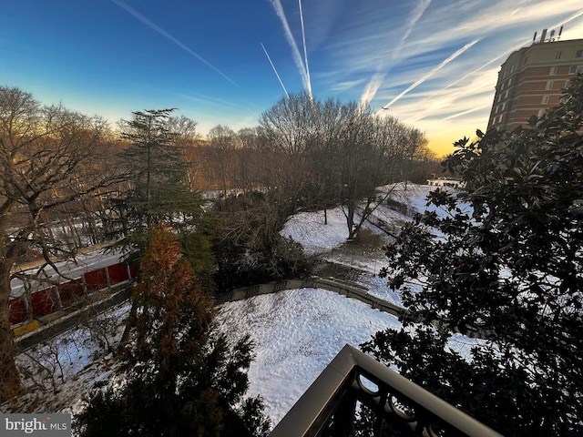 view of nature at dusk