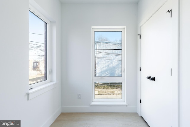 doorway featuring a healthy amount of sunlight and light hardwood / wood-style flooring