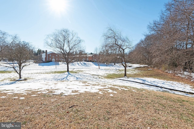 view of yard layered in snow