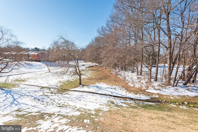 view of yard covered in snow