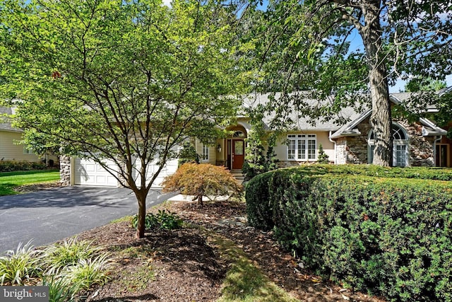 view of property hidden behind natural elements featuring a garage