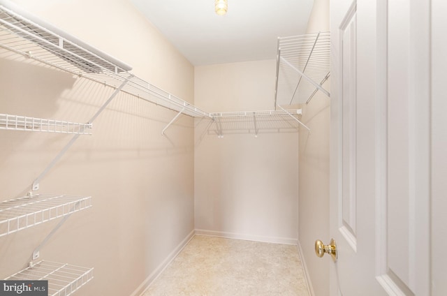 view of spacious closet