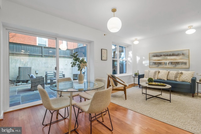 dining area with wood-type flooring