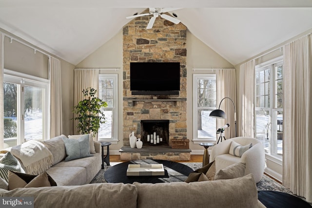 living room with plenty of natural light, a fireplace, and wood-type flooring