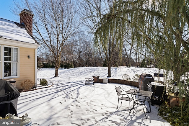 view of snowy yard