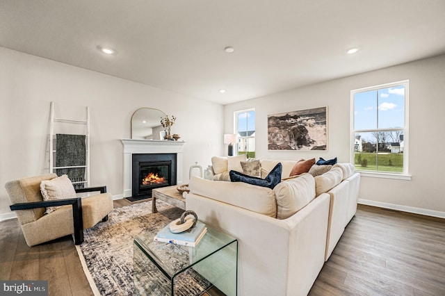 living room featuring dark wood-type flooring