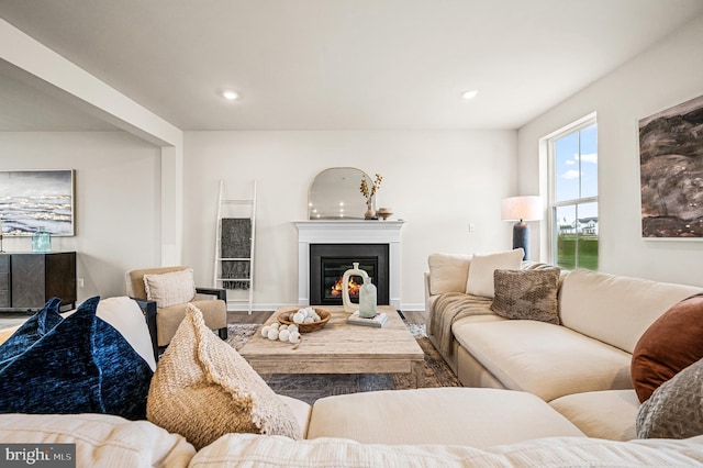 living room featuring hardwood / wood-style floors